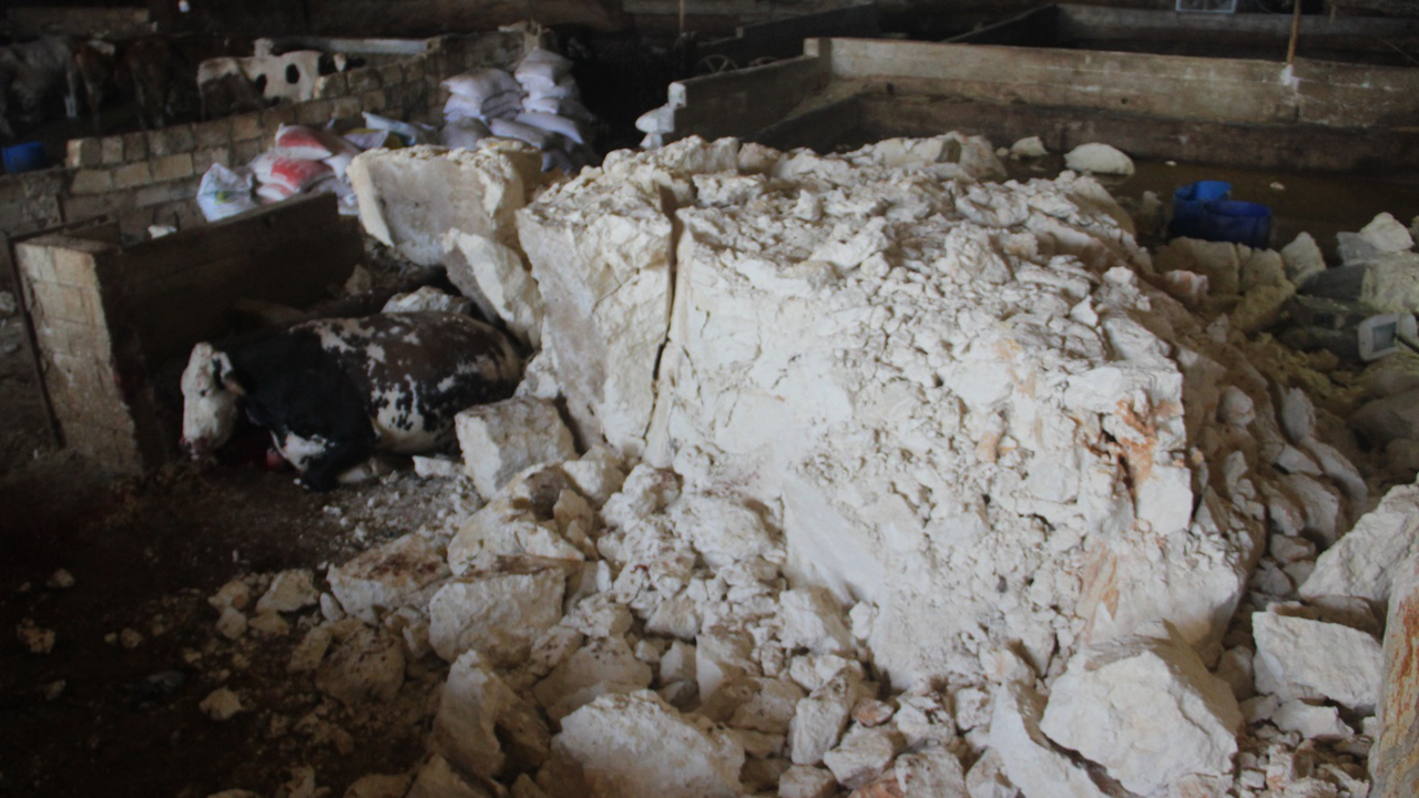 Şanlıurfa'da Mağara Çökmesi Sonucu 5 İnek Hayatını Kaybetti