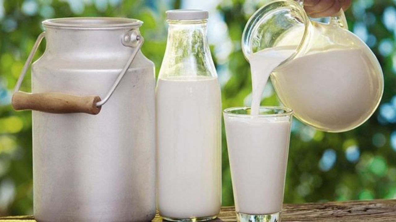 Türkiye'de Süt Üretimi Yükselişte: Eylül Ayında Artış Kaydedildi