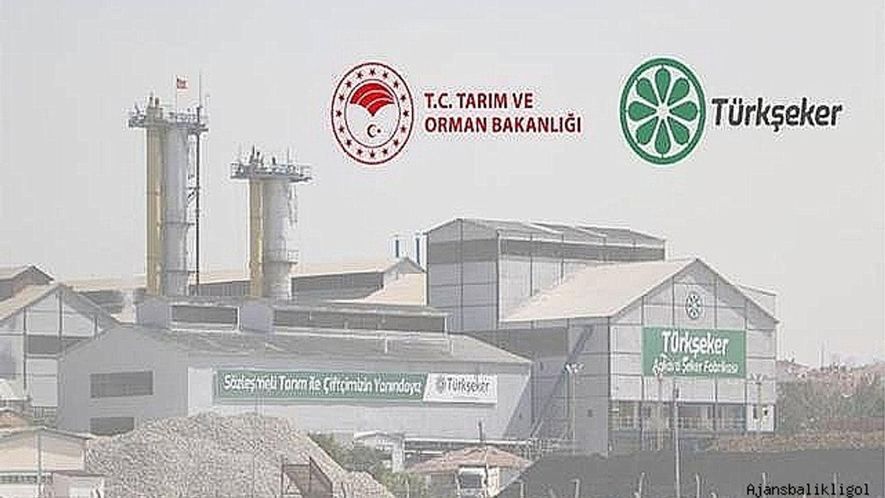 Türkiye Şeker Fabrikaları, 115 İşçi İçin İşe Alım Başlattı