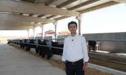 Özaslan'dan Önemli Çağrı: Türkiye'de İlk Olacak Hayvan Borsası Şanlıurfa'da Kurulmalı!