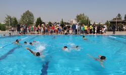 Viranşehir'de Yaz Kurslarını Tamamlayan Gençlere Yüzme Sertifikası Verildi