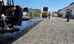 Viranşehir Belediyesi Hürriyet Mahallesinde Asfalt Çalışmalarını Sürdürüyor