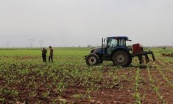Çiftçilere Tarımsal Destekleme Ödemeleri Hesaplara Aktarılıyor!