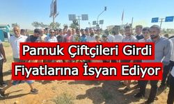 Pamuk Çiftçileri Girdi Fiyatlarına İsyan Ediyor!