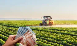 Çiftçilere 29 Milyon 85 Bin Liralık Tarımsal Destekleme Ödemesi Yatırılıyor!