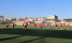 Viranşehir Belediyespor Şampiyonluk İçin Hedefte: 3. Lig Yolunda Yeni Sezona Hazır!