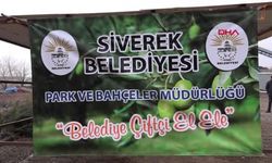 Siverek Belediyesi Çiftçilere Ücretsiz Meyve Fidanı Desteği Sağlıyor!