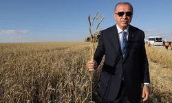 Cumhurbaşkanı Erdoğan emekli çiftçiler için devreye girdi! İkramiye ödemeleri için hazırlıklar başladı
