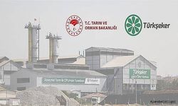 Türkiye Şeker Fabrikaları, 115 İşçi İçin İşe Alım Başlattı