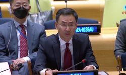 Çin’den BM’ye Afganistan yaptırımlarını gözden geçirme çağrısı