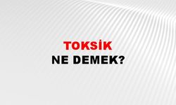 Toksik Ne Demek?