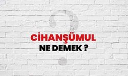 Cihanşümul Ne Demek?