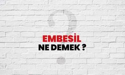 Embesil Ne Demek?