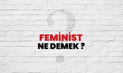 Feminist Ne Demek?