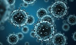 Çin’deki gizemli virüs Avrupa’ya yayılıyor