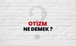 Otizm Ne Demek?