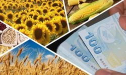 Çiftçilere Düşük Faizli Kredi Müjdesi: Limitler Arttı, Kriterler Değişti