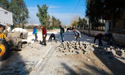 Harran'da Yeni Dönem: Üst Yapı Çalışmalarında Hızlı İlerleme!