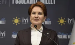 Meral Akşener, Şanlıurfa Eski İl Başkanına Dava Açtı!