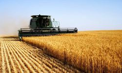 Buğday Piyasasında Büyük Değişim: Çiftçiden 6 Bin Liraya Alınan Buğdayın Fiyatı 12 Bin Liraya Çıktı!