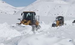 Doğu Anadolu’da Kar Yağışı Ulaşımı Felç Etti