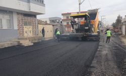 Viranşehir’de Yollar Sıcak Asfaltla Yenileniyor