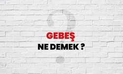 Gebeş Ne Demek?