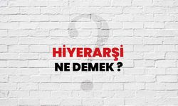 Hiyerarşi Ne Demek?