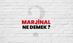 Marjinal Ne Demek?