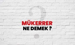 Mükerrer Ne Demek, Ne Anlama Gelir?