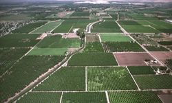 Tarım arazilerine 520 milyon liralık destek