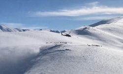 Bozdoğan-3 Operasyonlarıyla Teröristlerin Sığınakları Yok Edildi!