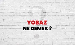 Yobaz Ne Demek?