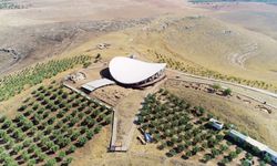 Göbeklitepe iki ayda 64 bin ziyaretçiye kapılarını açtı