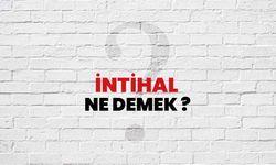 İntihal Ne Demek?