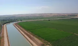 DSİ, 3 Yılda 420 Bin Hektarlık Tarım Alanına Sulama Yapacak!