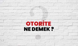 Otorite Ne Demek?