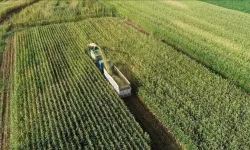 Tarım Sektörüne Dev Destek: Çiftçilere Gübrede Büyük Katkı