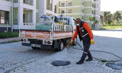 Şanlıurfa'da haşerelerle mücadele seferberliği başlatıldı