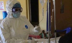 Nijerya'da Lassa Salgınında Ölü Sayısı Artıyor