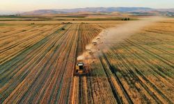 Çiftçilere Müjde: Tarımsal Destek Ödemeleri Hesaplarda