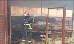Şanlıurfa'da korkutan çiftlik yangını