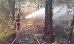 Ormanlık alandaki yangın söndürüldü