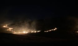 Şanlıurfa'da korkutan ormanlık yangını