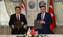Türkiye-KKTC İşbirliği: Narenciye Sektöründe İleri Adımlar Atılıyor