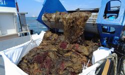 İzmit Körfezi'nde 16 Yılda 8 Bin Metreküp Deniz Çöpü Temizlendi
