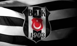 Beşiktaş, teknik ekibe Anthony McElhone ve Rudolfus Hubertus Hesp'i dahil etti