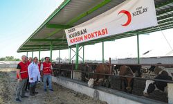 Türk Kızılayı, Yurt İçinde ve 19 Ülkede Kurban Kesiyor