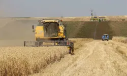 Destekleme ödemeleri çiftçilerin hesabına aktarıldı