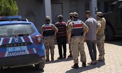 Şanlıurfa'da 1,5 Ton Antep Fıstığı Çalındı: İki Şüpheli Yakalandı